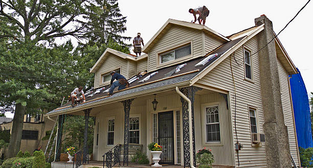 Best Storm Damage Roof Repair  in Roxana, IL
